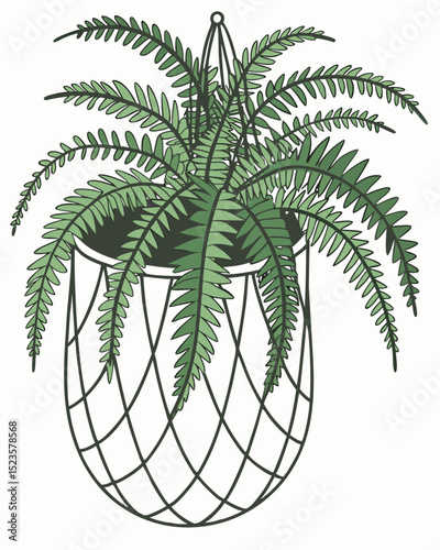 Lush Green Fern in Hanging Wire Basket Botanical Illustration for Home Decor