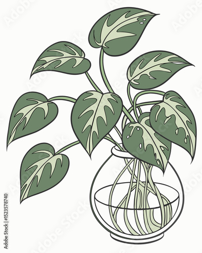 Hydroponic Pothos Plant in Glass Vase A Simple Guide to Indoor Gardening