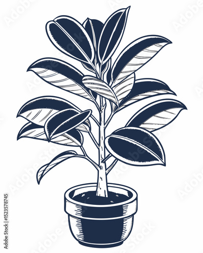 Elegant Rubber Plant Illustration in Navy Ceramic Pot  Perfect for Home Decor, Botanical Prints, and Plant Lover Designs