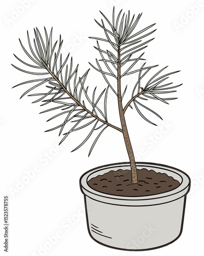 Small Pine Sapling in a Grower's Pot A Detailed Illustration of a Young Conifer Tree Ready for Planting or Transplanting