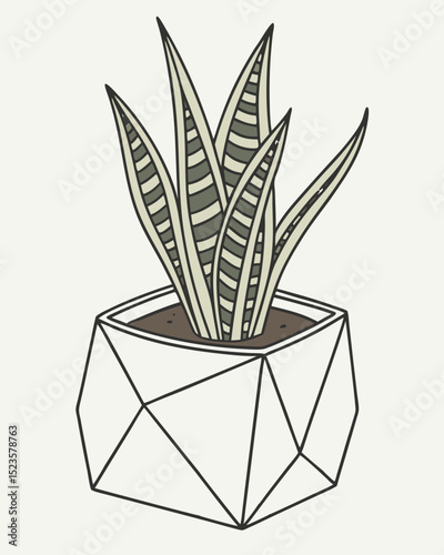 Geometric Planter with Snake Plant Modern Minimalist Home Decor Illustration