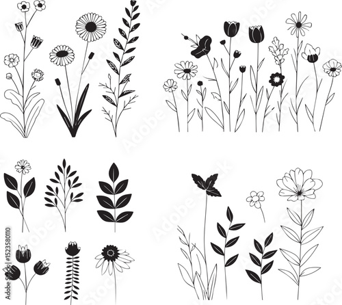 Botanical Line Art Collection