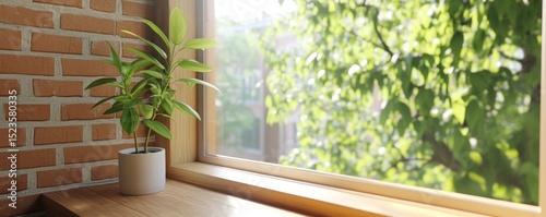 Indoor plant by window with brick wall and natural light