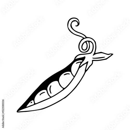 healthy vegetable : open pea pod design