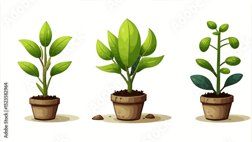 Three Potted Plants With Vibrant Green Leaves Are Isolated Against A Stark White Backdrop