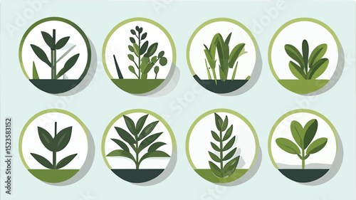 Eight Stylized Plants And Seedlings Are Presented In Circular Frames With A Muted Serene Palette