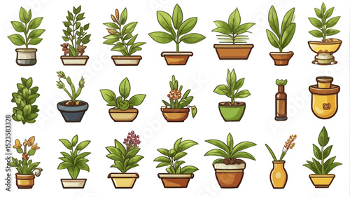 A Collection Of Various Potted Plants With Assorted Shapes And Colors In An Illustration Style
