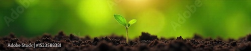 A tiny sprout emerges from rich soil, symbolizing new growth and environmental protection on Earth Day Perfect for eco-conscious campaigns and springtime themes , green, agriculture