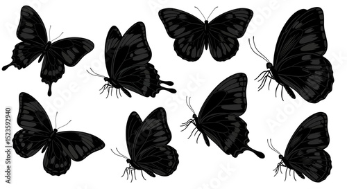 Collection of Black Butterfly Silhouettes Vector Illustration