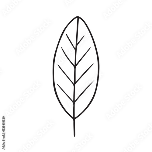 Stylized black and white vector of a single leaf, surrounded by strong black outlines, showcasing its organic form and detailed surface texture.

