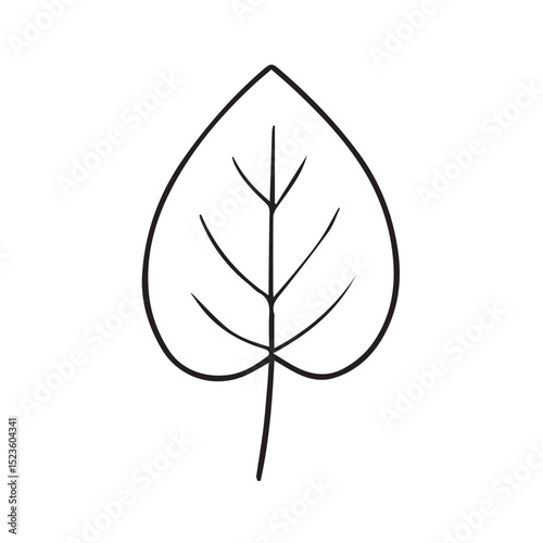 Vector illustration of a leaf in monochrome, using bold black outlines to highlight its delicate structure, organic contours, and distinctive natural beauty.








