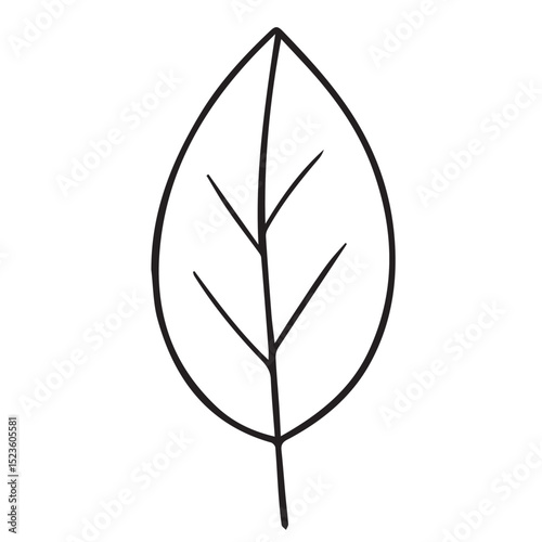 A black and white vector illustration of a single leaf, outlined in bold black lines, highlighting its veins, shape, and natural texture beautifully.

