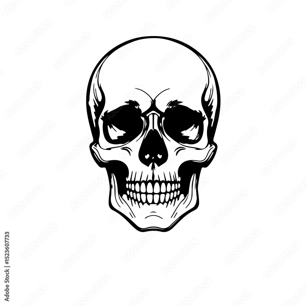 Bold Human Skull Vector Line Art Bold Human Skull Vector Line Art