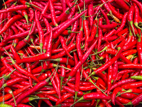 Organic red chillies texture background