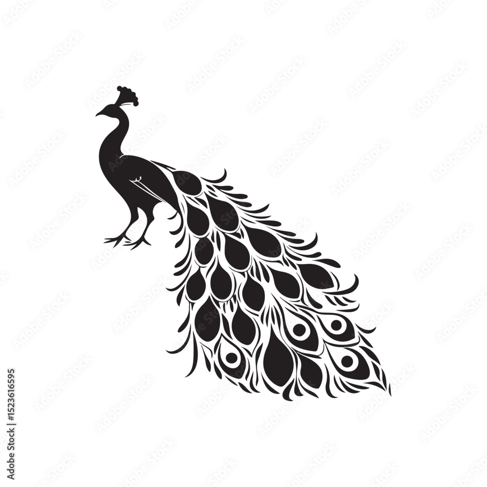 Fototapeta premium Peacock Silhouette on white background Majestic Bird with Elaborate Tail 
