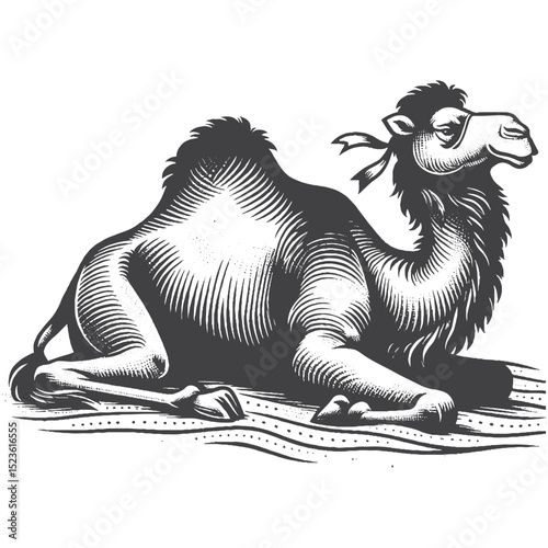 Vintage Hand-Drawn Camel Sitting Calmly Illustration, Desert Animal Engraved Style Vector for T-Shirts and Wildlife Themes Design