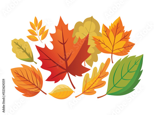 Autumn leaves collection isolated on white background
