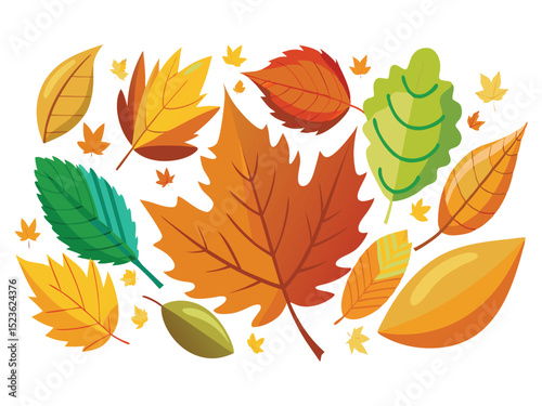 Collection of autumn leaves isolated on white background
