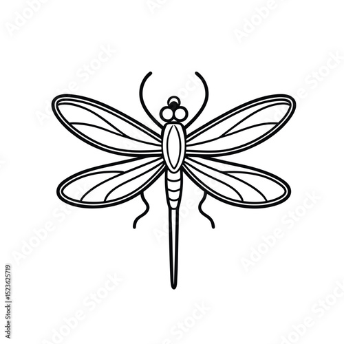 Dragonfly outline vector illustration on white background