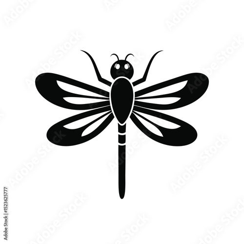 Dragonfly vector illustration on white background