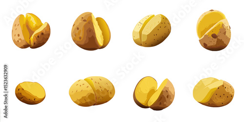 Multiple vector illustrations sliced potatoes

