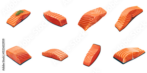 Multiple vector illustrations salmon fillet

