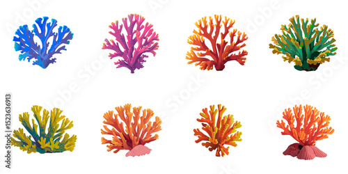 Multiple vector illustrations coral

