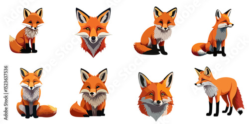 Multiple vector illustrations fox

