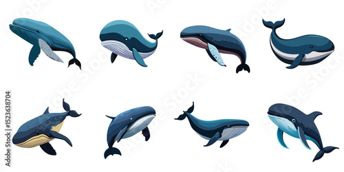 Multiple vector illustrations whale


