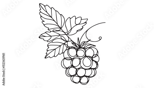 Continuous one single minimal line drawing grape fruit