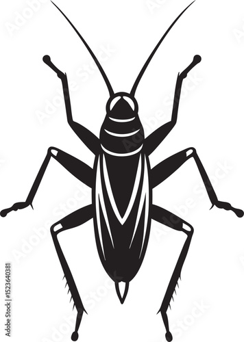 cockroach isolated on white background