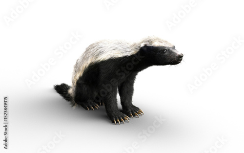 3d Illustration of a Honey Badger with Clipping path – Nature’s Most Fearless Predator