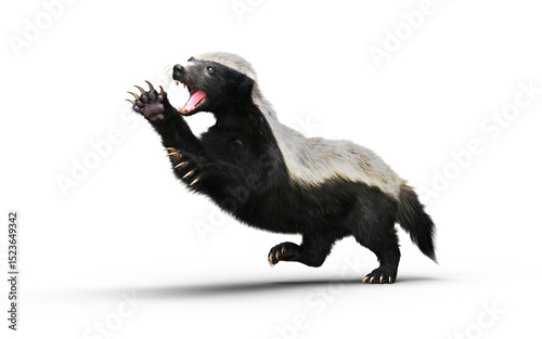 3d Illustration of a Honey Badger with Clipping path – Nature’s Most Fearless Predator