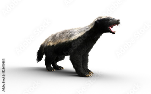 3d Illustration of a Honey Badger with Clipping path – Nature’s Most Fearless Predator