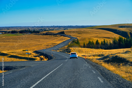 On the road in Iceland in day time with golden ligh on grass along the way, Road trip travel in Iceland.