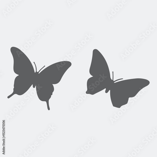 butterfly vector illustration