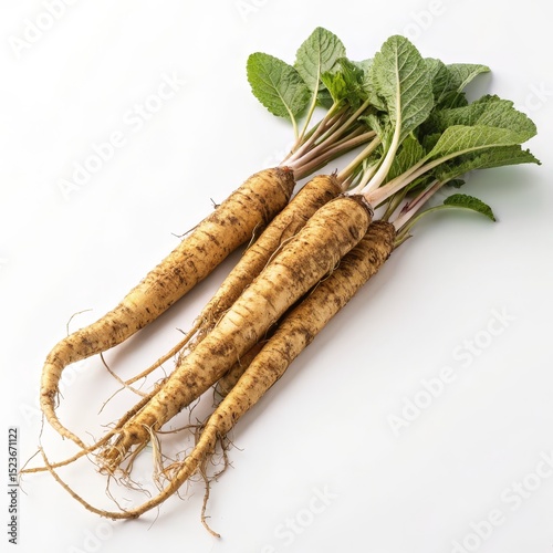 Salsify Roots with Greens on White Background, Vegetable, Root Vegetable salsify, vegetable root