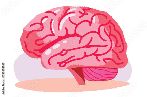 illustration of a brain. white background. Image of thinking, thinking.	
