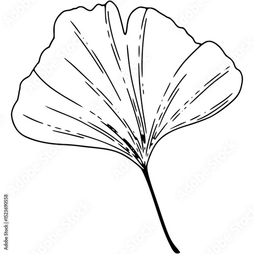 sketch of a flower