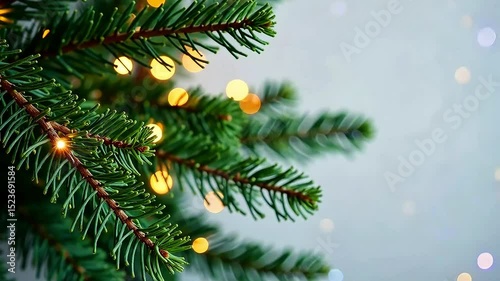 Close up of Christmas tree branches with garland lights. Light minimalistic banner. Spruce branches on white blurred background of lights