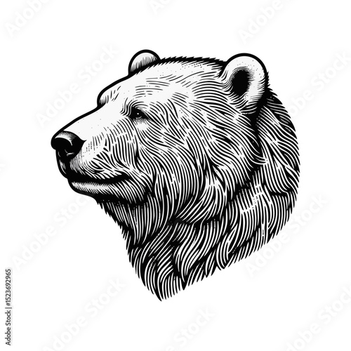 polar bear vintage simple modern engraving style black and white full body isolated on white background