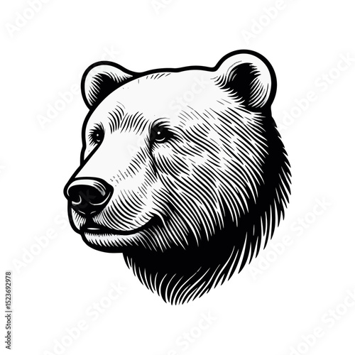 polar bear vintage simple modern engraving style black and white full body isolated on white background