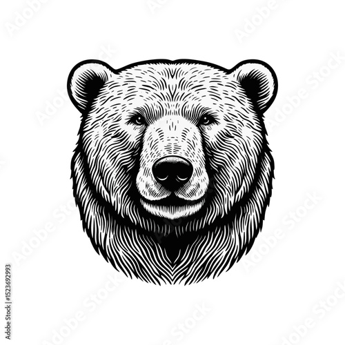 polar bear vintage simple modern engraving style black and white full body isolated on white background