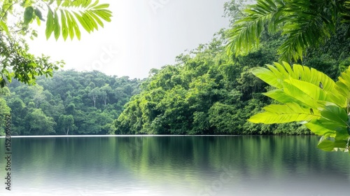 A tranquil river winding through a dense jungle, with vibrant green foliage and a few tropical birds perched on the branches above. 