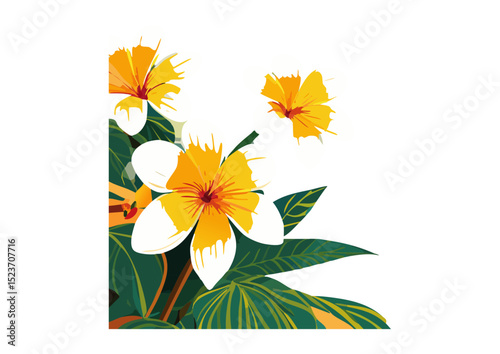 Echinodorus cordifolius, sometimes leading to confusion with other Echinodorus species:
Echinodorus cordifolius 'Fluitans 