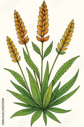 A vibrant botanical illustration showcasing golden wheat stalks rising above lush green leaves, symbolizing nature’s bounty, growth, and abundance.