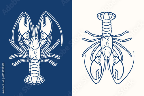 Lobster Hand Drawn Illustrations