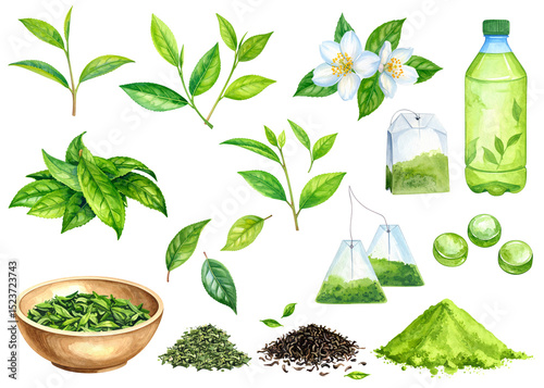日本の緑茶まとめ素材　水彩画風