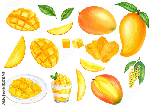 マンゴーまとめ素材　水彩画風