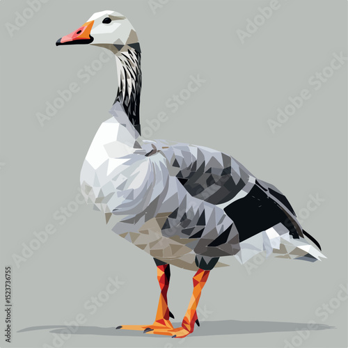 animal, vector, bird, illustration, goose, design, white, sketch, drawing, isolated, black, wild, cartoon, outline, line, element, vintage, retro, nature, image, wildlife, graphic, duck, beak, black a